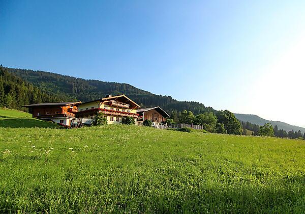 Bergbauernhof in Alleinlage umgeben von Wiesen