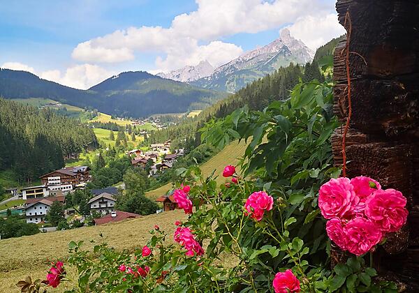 Idyllischer Ausblick auf Neuberg