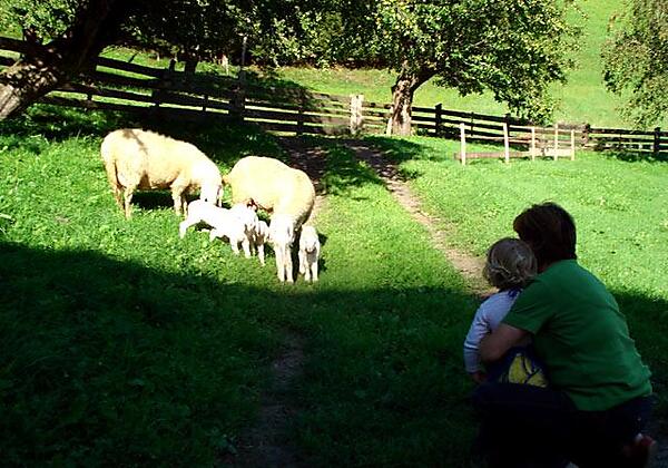 Ruggenthalerhof Matrei in Osttirol