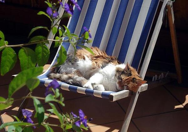 gemütlich ist es am Ruggenthalerhof Matrei in Ostt