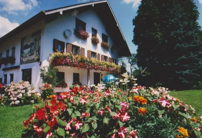 Ruheoase in der Natur nahe am Attersee