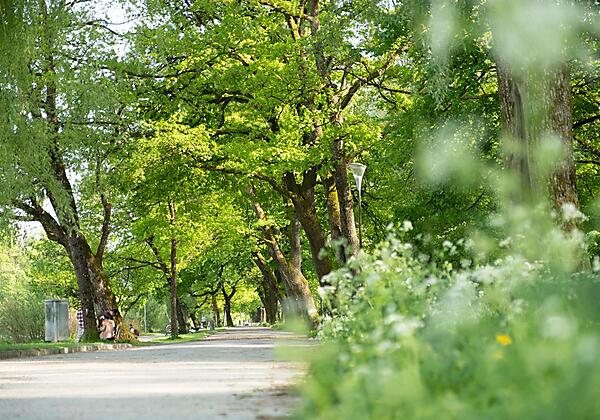 Im Grünen und doch in der Stadt