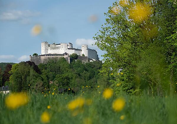 Ausblick aus der Umgebung