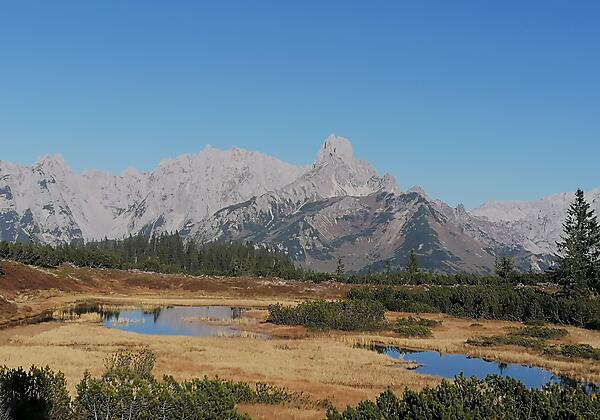 Grillen - Lagerfauer