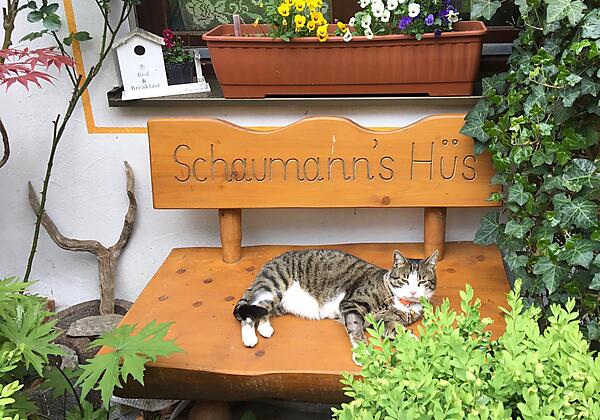 Unsere Katze fühlt sich wohl!