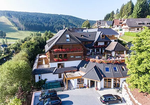 Schlehdorn
