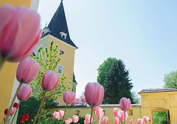 Schloss Muehldorf