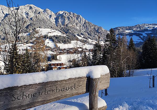 Ausblick mit Bankerl