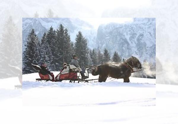 Pferdekutschenfahrten im Winter