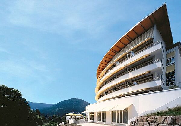 Schwarzwald Panorama