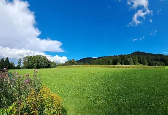 Seeblick Gasthof