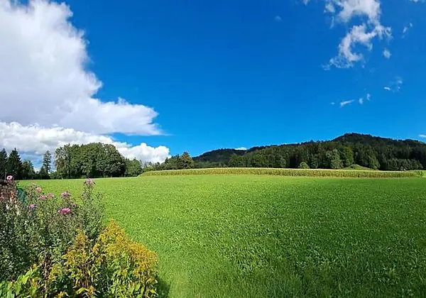 Seeblick Gasthof