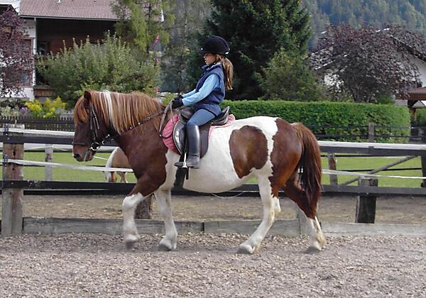 Ponyreiten am Hof möglich