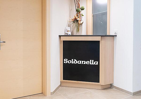 2102-1_003_wf-soldanella_09-21