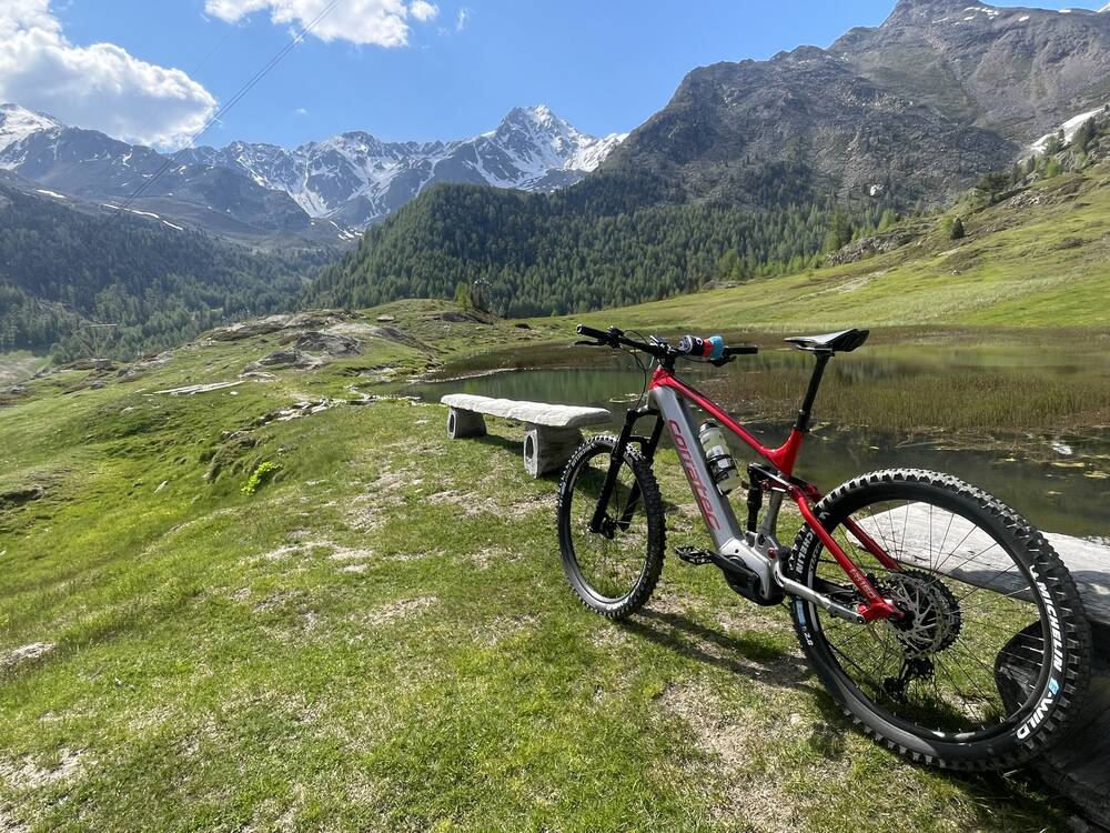 Sommerzeit genießen