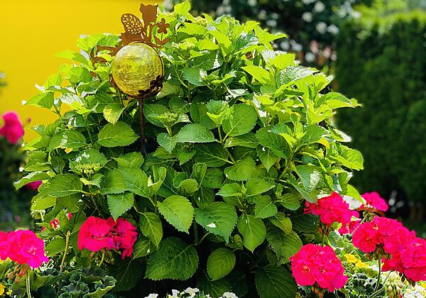 Sommerzeit