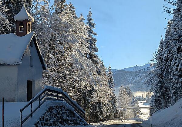 PXL_20251128_083448725