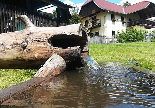 Staudachhof - Urlaub am Bauernhof