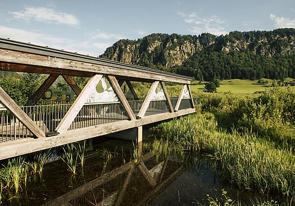 Kaiserwinkl, Urlaub, Sommer, 2020 (298)