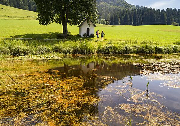 Kaiserwinkl_Sommerurlaub_MoorgebietSchwemm (3)