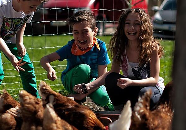 Kinder mit Hühnern