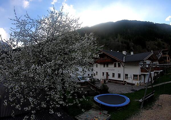 VideoCapture_20190424-183506