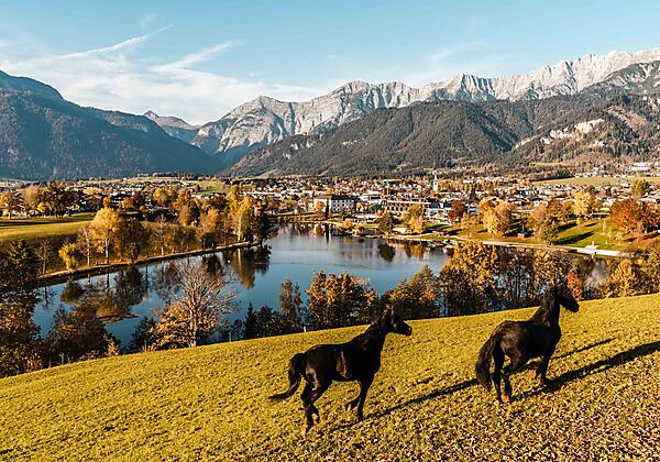 Herbst2019_Ritzensee_19_MichaelGeißler