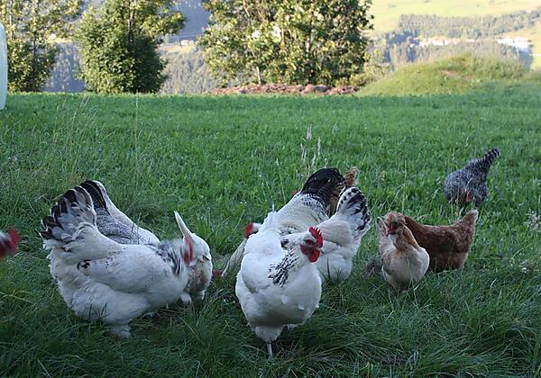 Wanderungen 180 - Kopie