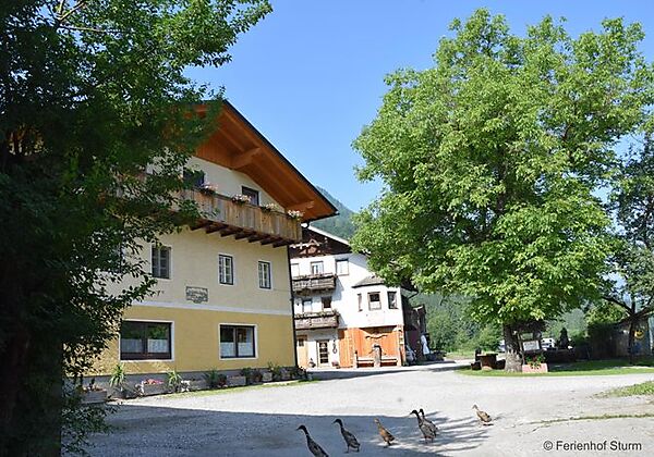 Sturm, Ferienhof
