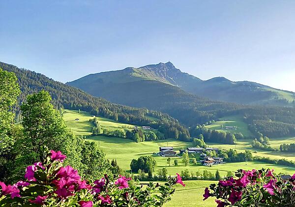 E464BE84-A247-4820-87BF-701DB9F988CA