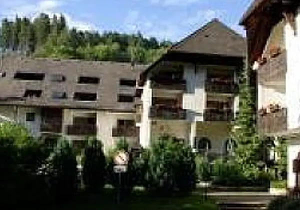 Tannenhof Schwarzwaldblick