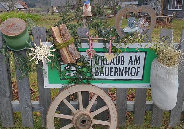 IMG_20221115_140057915