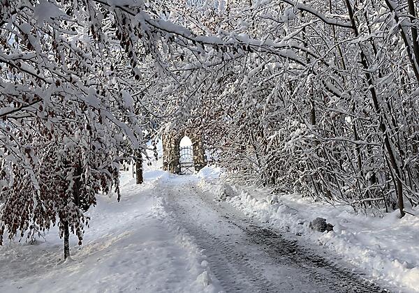 Schlosspark im Winter