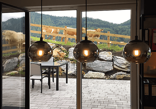 Neugierige Zaungäste