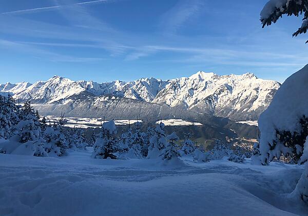 f366bdbe-aaf1-47f1-a475-efa4d86cffbc (002)