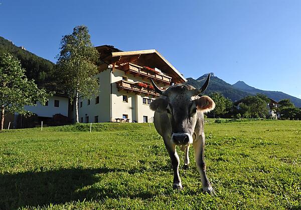 Untersillerhof Sommer