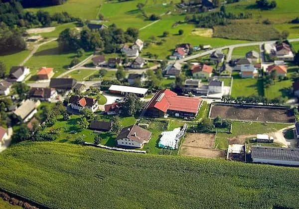 Urlaub am Bauernhof - Pension Borchardt