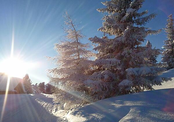 Winterlandschaft Hochzillertal