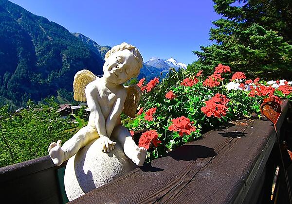 Balkonblumen und Grossglockner