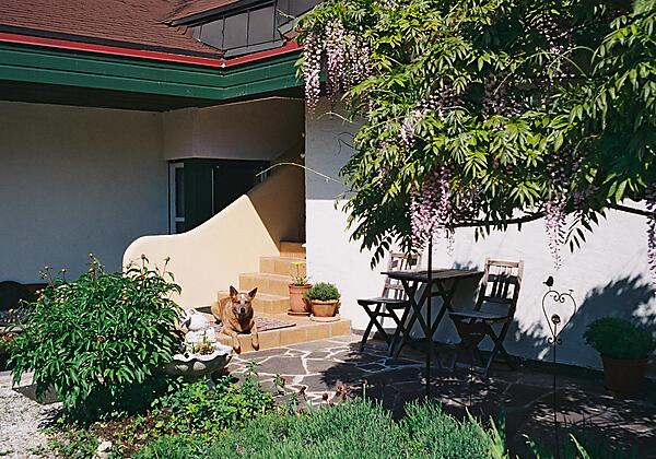 Hunde sind willkommen