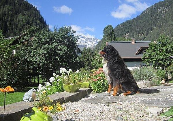 Hunde willkommen!