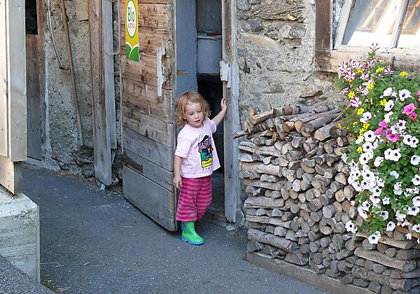 voglbachhof-ab-in-den-stall