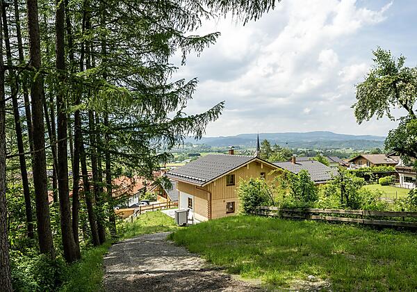 Blick aus unserem Wichtelwald