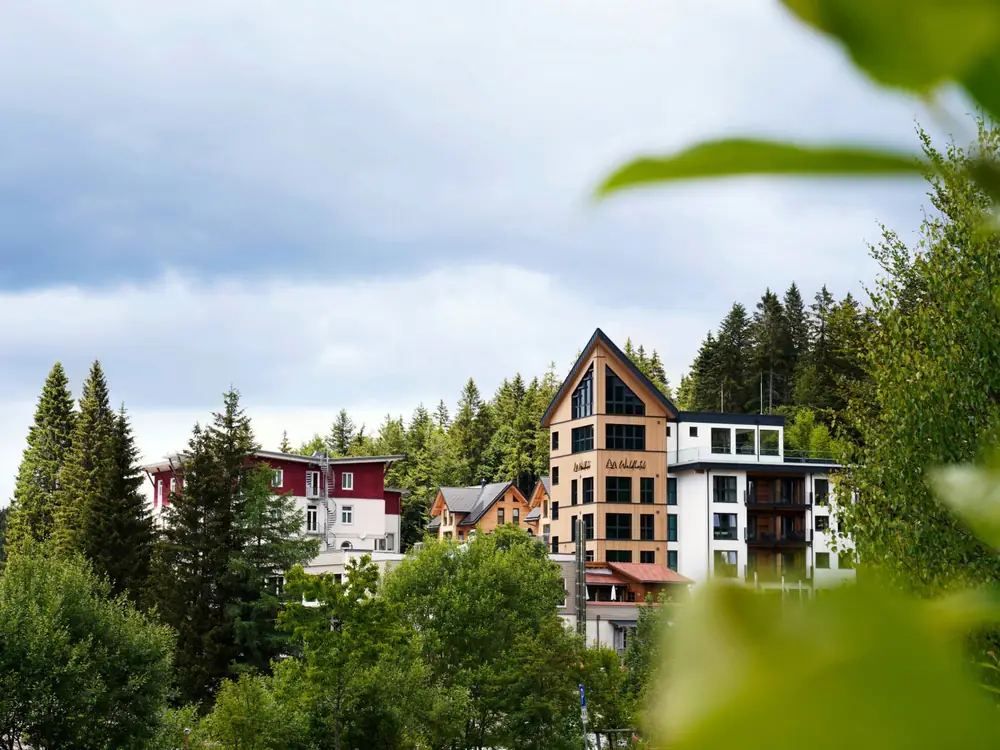 Waldhotel am Notschreipass
