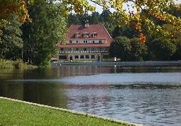 Waldsee