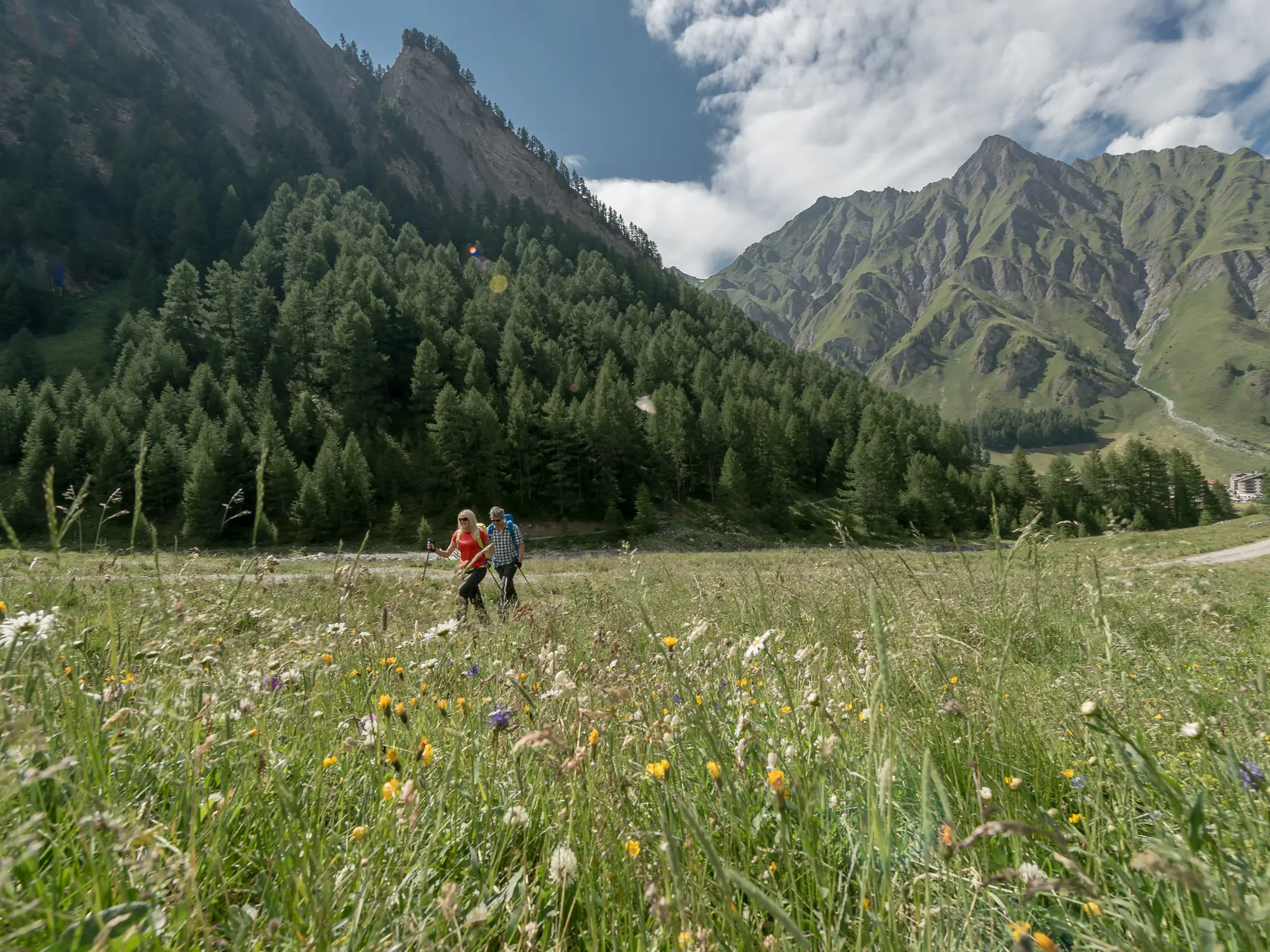 Wandern
