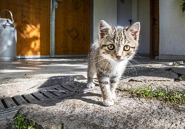 20240715_WandlehenhofAussen_101_klein