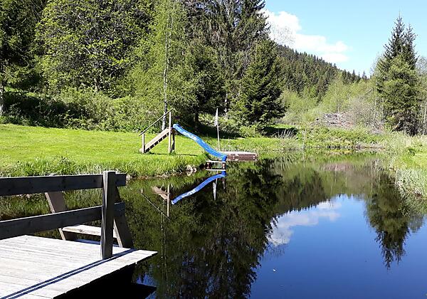 Teich für deskline verkleinert