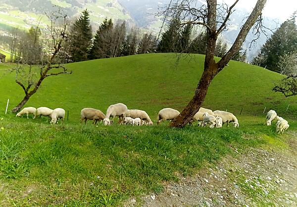 Aussicht
