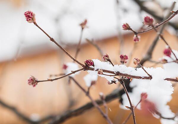 dolomitenhof_019 Kopie